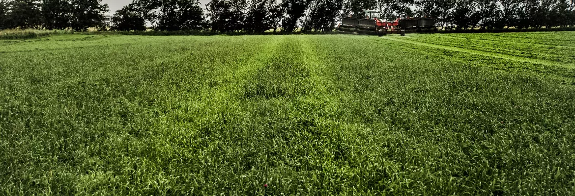 Passion for Bales - Less soil compaction on grassland