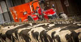 PROFILE 2 CS в роботі