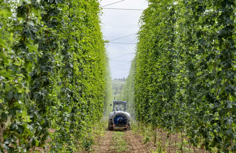 The GEO 3002 air-blast sprayer at work in a hops field
