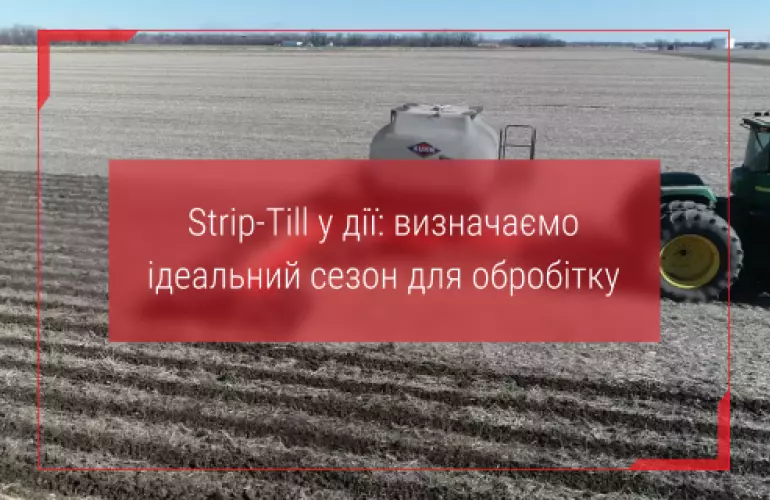 strip till технологія