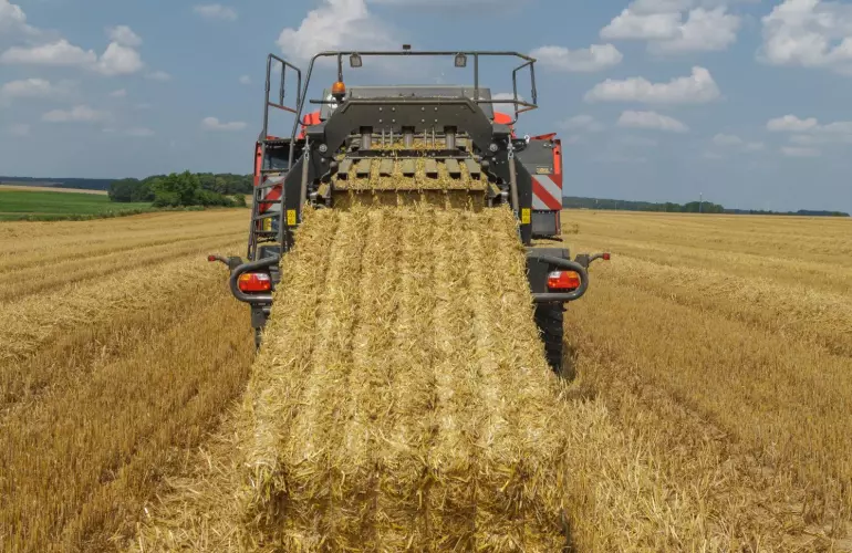 SB_1290_iD_210721336