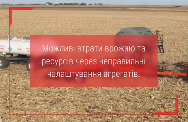 стріп тіл