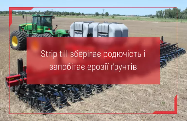 технологія strip till