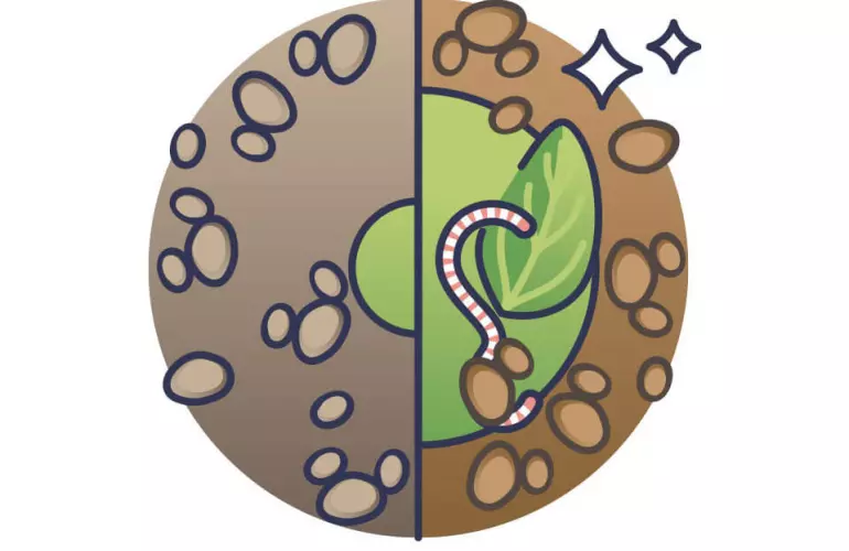 покращення якості ґрунту за допомогою органічних речовин та дощових черв'яків
