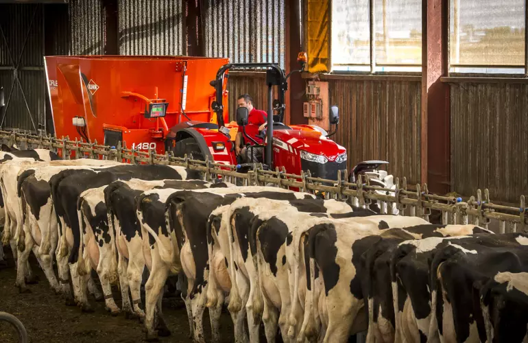 PROFILE 2 CS в роботі