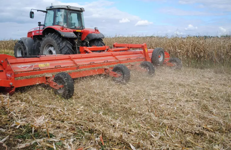 Польовий мульчувач RMS 820 в роботі на кукурудзяному полі (подрібнення)
