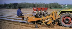 Цей пластифікатор дозволяє висівати кукурудзу під пластикову мульчу. Це дає тепловий ефект, який спричиняє швидке проростання.