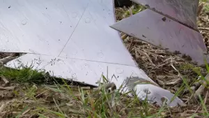 Лемеші плуга