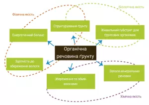 діаграма, що показує взаємозв'язок між органічною речовиною ґрунту та різними факторами, що впливають на якість ґрунту