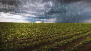 doshchovi-umovy-nitraty-u-drenazhniy-vodi