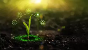 pokryvni-kultury-vidpovidno-do-tsiley