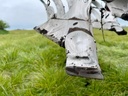 Тест в реальних умовах 2