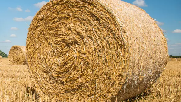 Il sistema PROGRESSIVE DENSITY PLUS garantisce una densità superiore nelle colture secche