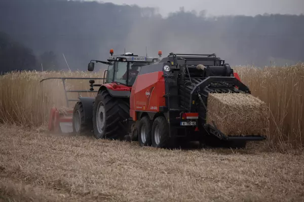 Récolte de miscanthus ou culture énergétique ou CIVE avec le broyeur WS 320 BIO réalisant trois opération en un seul passage.