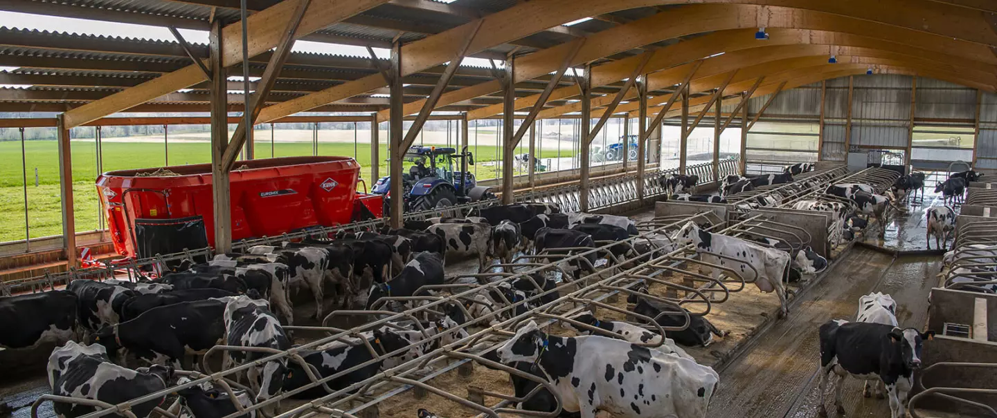 EUROMIX 3 CL в роботі